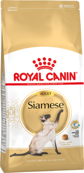 siameseadult