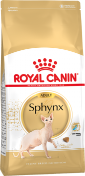 sphynxadult.png